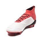 adidas Predator 18.1 FG/AG Cold Blooded 